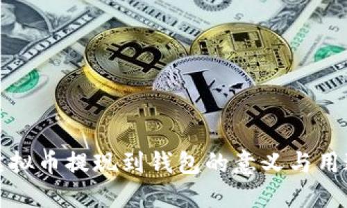 虚拟币提现到钱包的意义与用途