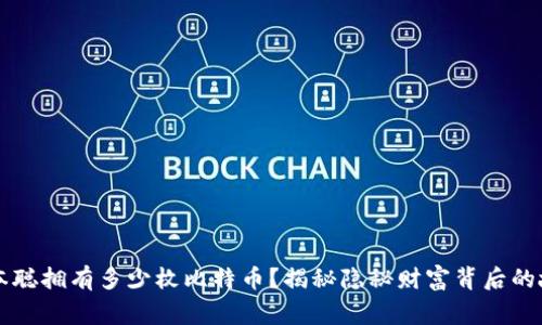 中本聪拥有多少枚比特币？揭秘隐秘财富背后的故事