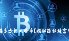 中本聪拥有多少枚比特币？揭秘隐秘财富背后的
