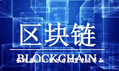 如何在USDT软件中设置中文界面