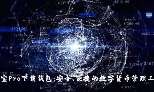 波宝Pro下载钱包：安全、便捷的数字货币管理工具