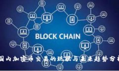 国内加密币交易的现状与未来趋势分析