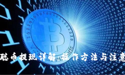 中本聪币提现详解：操作方法与注意事项