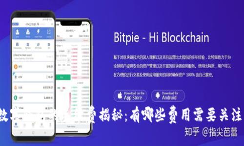 数字钱包的手续费揭秘：有哪些费用需要关注？