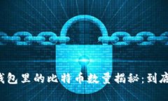 中本聪钱包里的比特币数量揭秘：到底有多少？