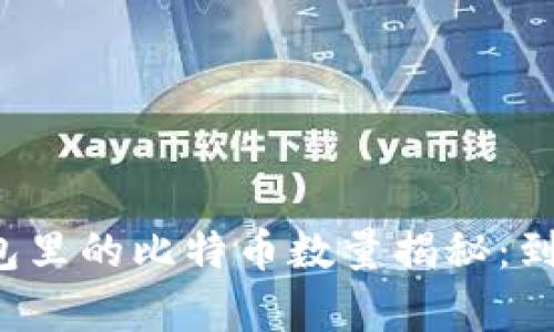 中本聪钱包里的比特币数量揭秘：到底有多少？