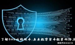 了解BHD比特硬币：未来数字货币投资的潜力