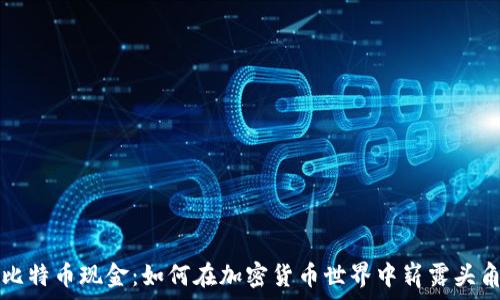   
比特币现金：如何在加密货币世界中崭露头角
