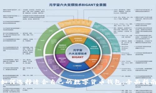 如何选择适合自己的数字货币钱包：全面指南