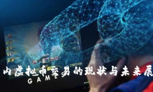 国内虚拟币交易的现状与未来展望