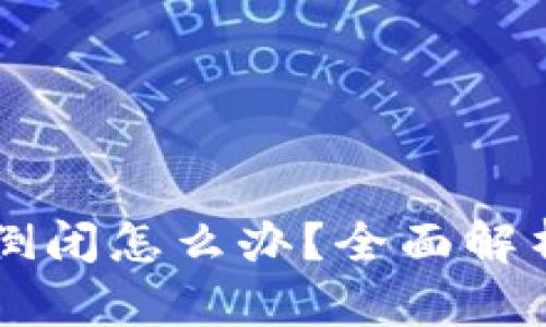 区块链钱包倒闭怎么办？全面解析与应对指南