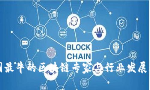 中国最牛的区块链专家与行业发展现状