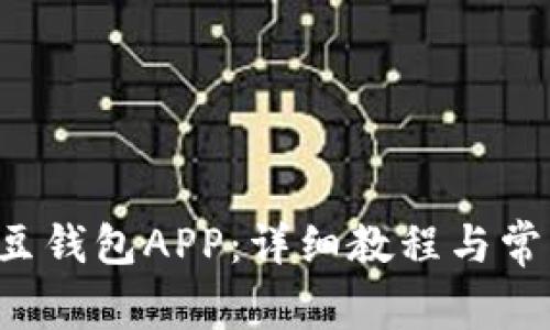 如何下载K豆钱包APP：详细教程与常见问题解答