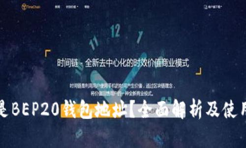 什么是BEP20钱包地址?全面解析及使用指南