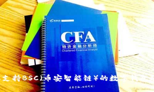 2024年支持BSC（币安智能链）的数字钱包趋势解析