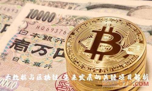大数据与区块链：未来发展的关键项目解析