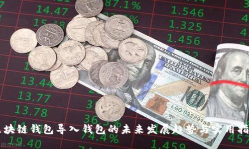 区块链钱包导入钱包的未来发展趋势与实用指南