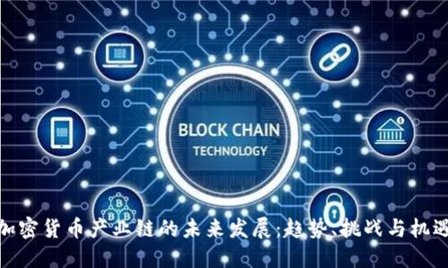 加密货币产业链的未来发展：趋势、挑战与机遇