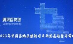 2023年中国落地区块链项目的发展趋势与前瞻