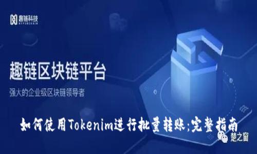 如何使用Tokenim进行批量转账：完整指南