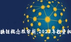 真正的区块链概念股分析：2023年投资机会与风险