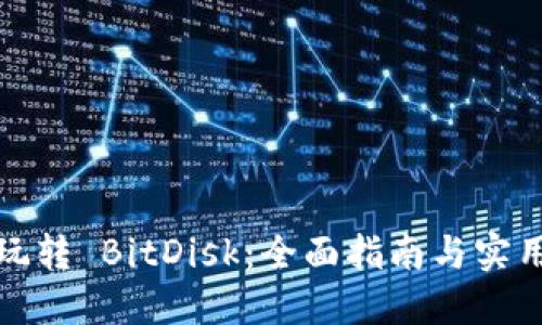 如何玩转 BitDisk：全面指南与实用技巧