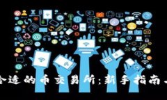 如何选择合适的币交易所：新手指南与深度分析