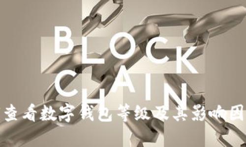 : 如何查看数字钱包等级及其影响因素详解