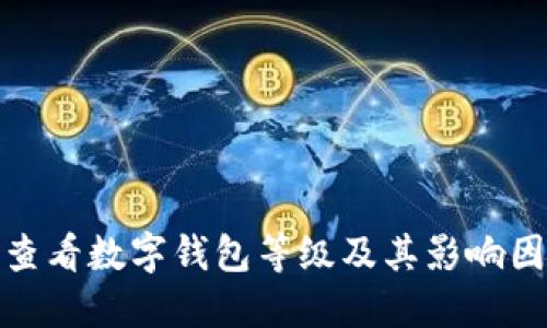 : 如何查看数字钱包等级及其影响因素详解