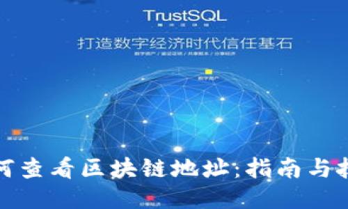 如何查看区块链地址：指南与技巧