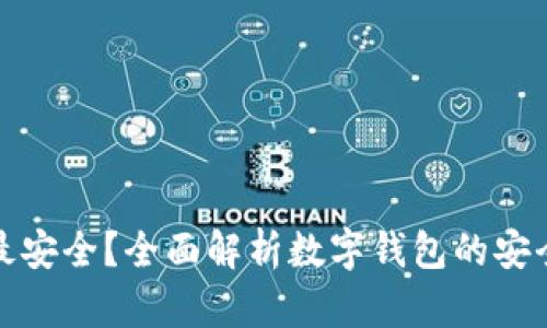 哪种数字钱包最安全？全面解析数字钱包的安全性和选择指南