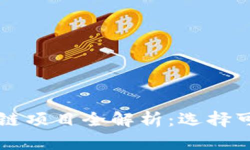 瑞金正规区块链项目全解析：选择可靠投资的指南