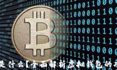 虚拟钱包是什么？全面解析虚拟钱包的功能与应