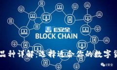 区块链钱包品种详解：选择适合你的数字货币存