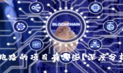 区块链即将跑路的项目有哪些？深度分析与投资