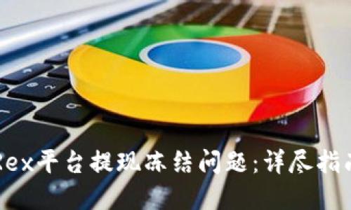 如何处理T-Rex平台提现冻结问题：详尽指南及解决方案